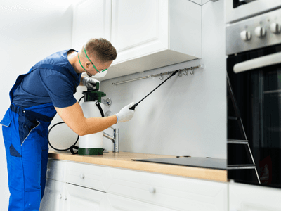 About Pest Solutions LLC - emergency pest control savannah ga experts in Savannah
