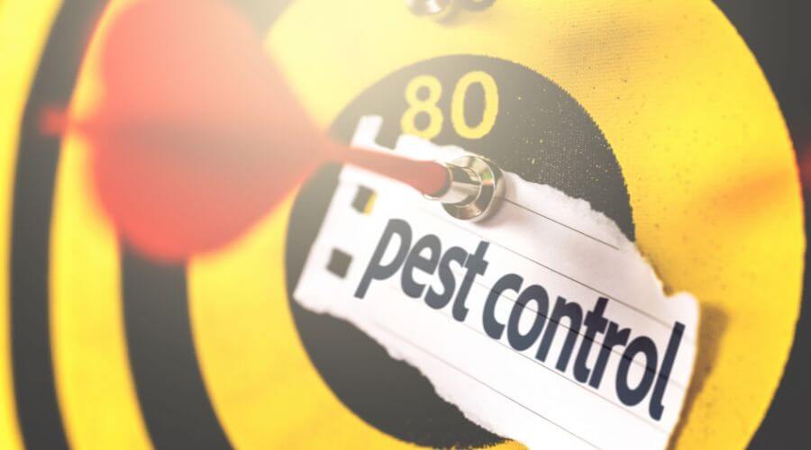 Professional emergency pest control savannah ga services in Savannah